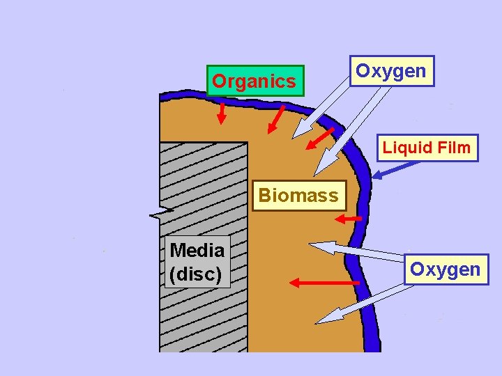 Organics Oxygen Liquid Film Biomass Media (disc) Oxygen 