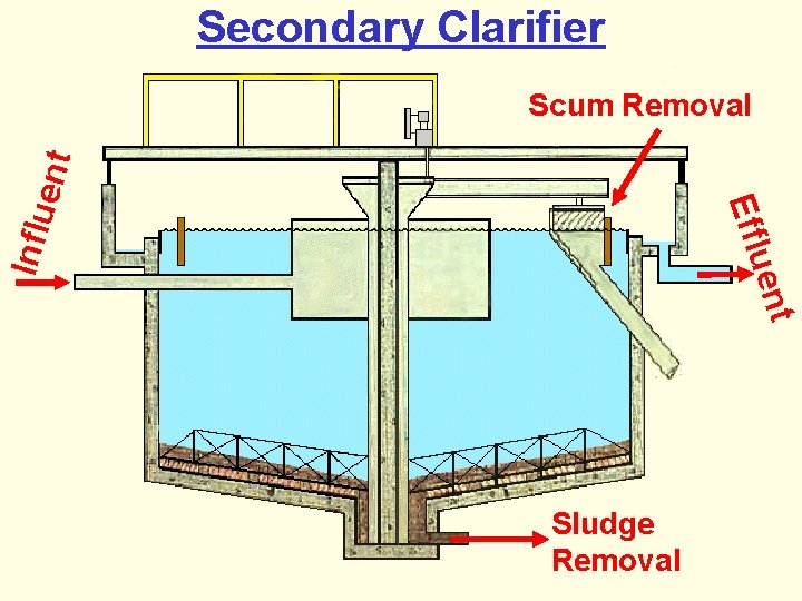 Secondary Clarifier t uen Influ Effl ent Scum Removal Sludge Removal 