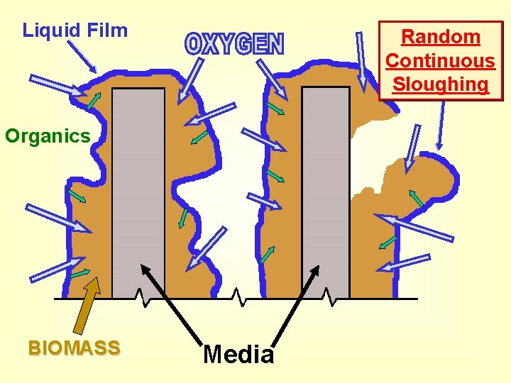 Liquid Film Random Continuous Sloughing Organics BIOMASS Media 