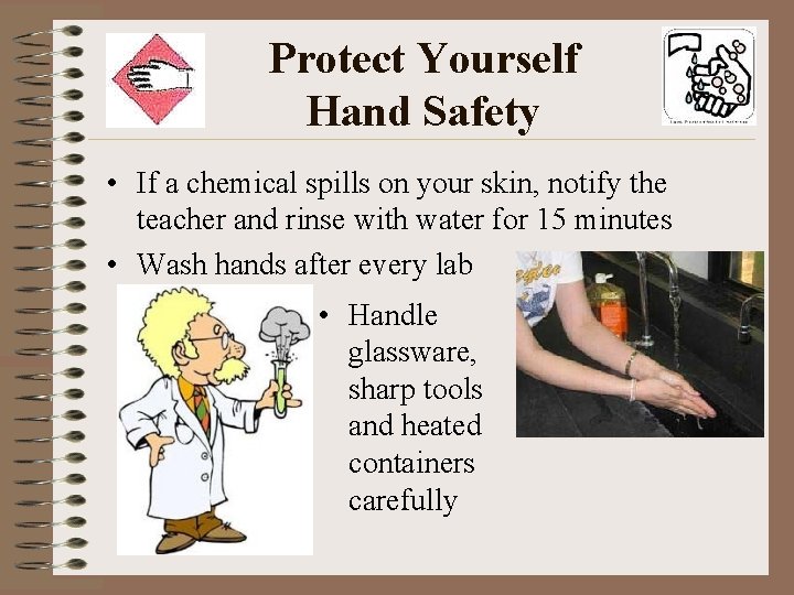 Protect Yourself Hand Safety • If a chemical spills on your skin, notify the