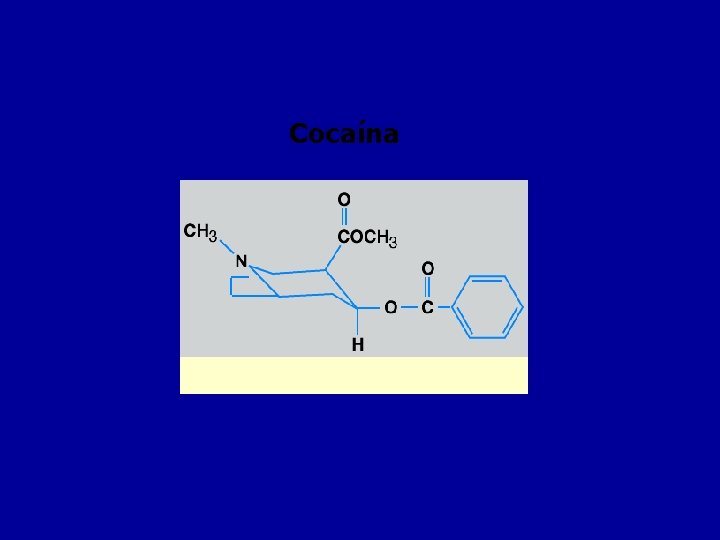 Cocaína 