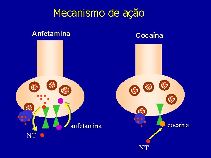 Mecanismo de ação Anfetamina Cocaína cocaína anfetamina NT NT 