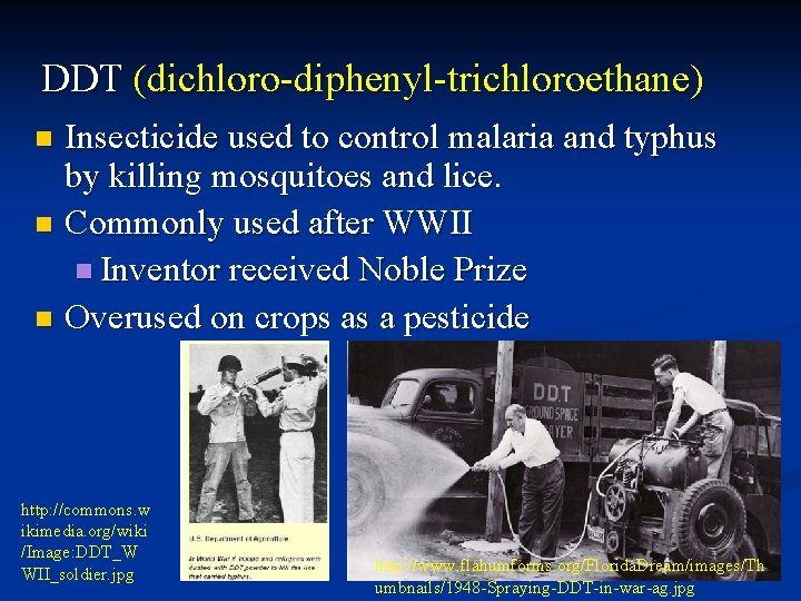 DDT (dichloro-diphenyl-trichloroethane) Insecticide used to control malaria and typhus by killing mosquitoes and lice.