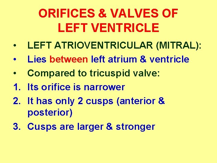 ORIFICES & VALVES OF LEFT VENTRICLE • • • 1. 2. LEFT ATRIOVENTRICULAR (MITRAL):