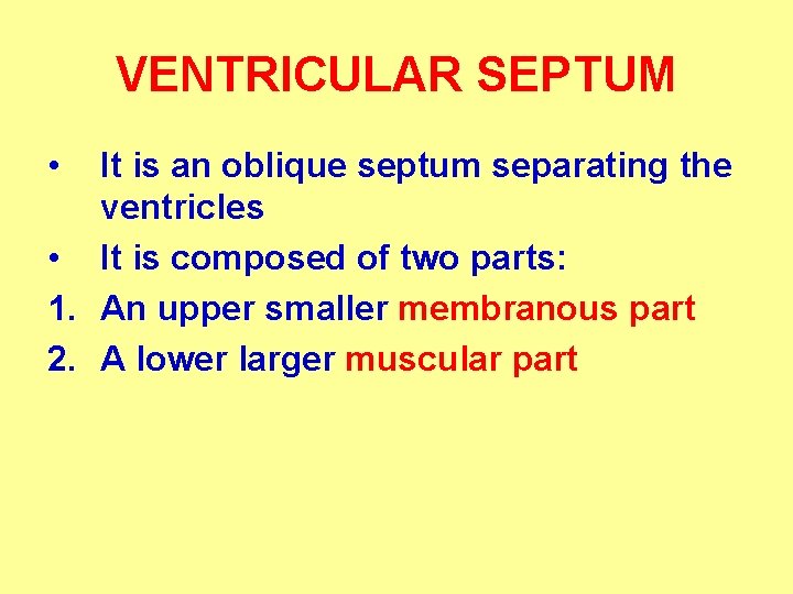 VENTRICULAR SEPTUM • It is an oblique septum separating the ventricles • It is