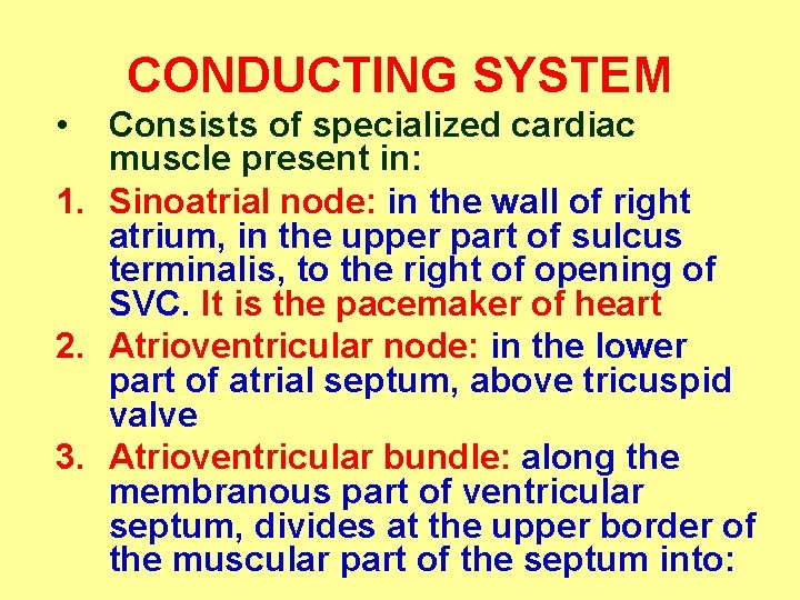 CONDUCTING SYSTEM • Consists of specialized cardiac muscle present in: 1. Sinoatrial node: in