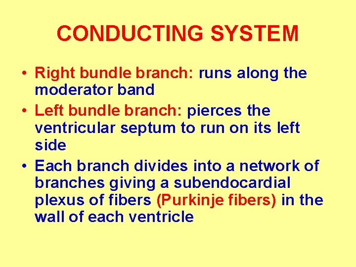 CONDUCTING SYSTEM • Right bundle branch: runs along the moderator band • Left bundle