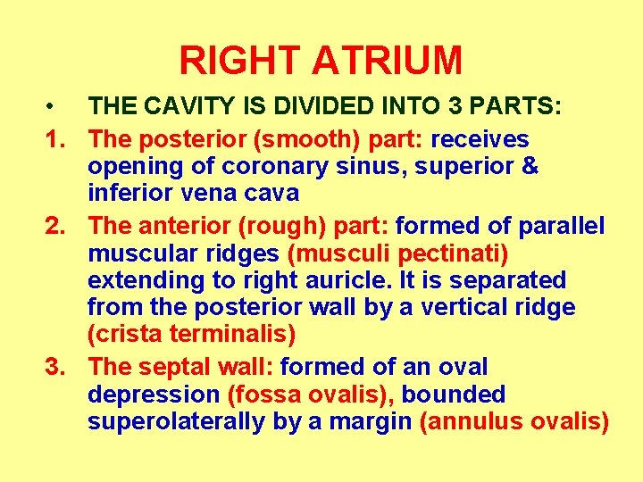 RIGHT ATRIUM • THE CAVITY IS DIVIDED INTO 3 PARTS: 1. The posterior (smooth)