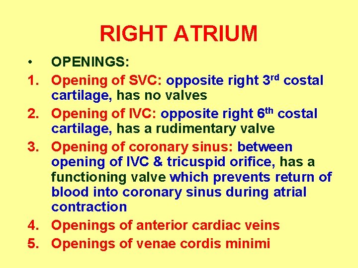 RIGHT ATRIUM • OPENINGS: 1. Opening of SVC: opposite right 3 rd costal cartilage,