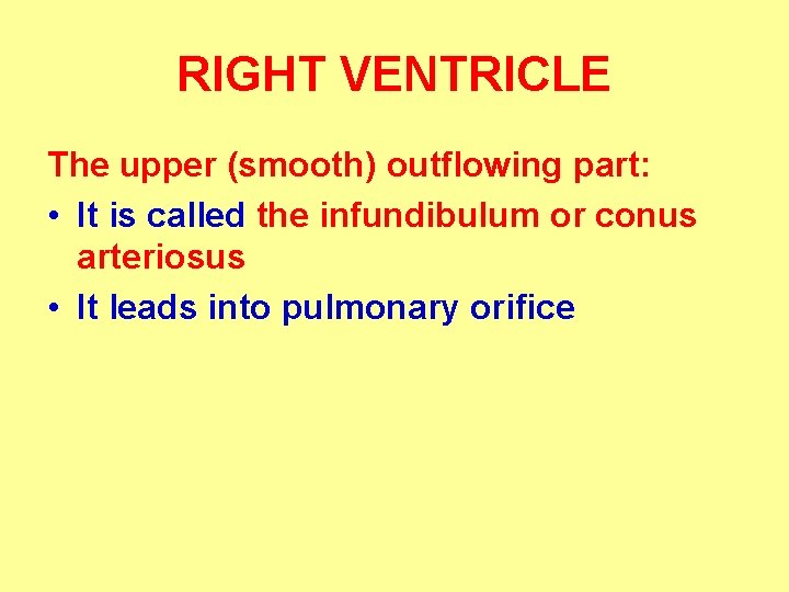 RIGHT VENTRICLE The upper (smooth) outflowing part: • It is called the infundibulum or