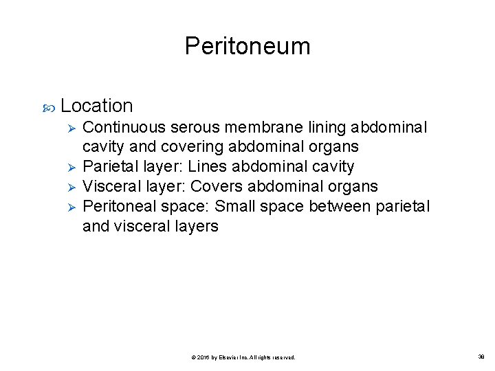 Peritoneum Location Ø Ø Continuous serous membrane lining abdominal cavity and covering abdominal organs