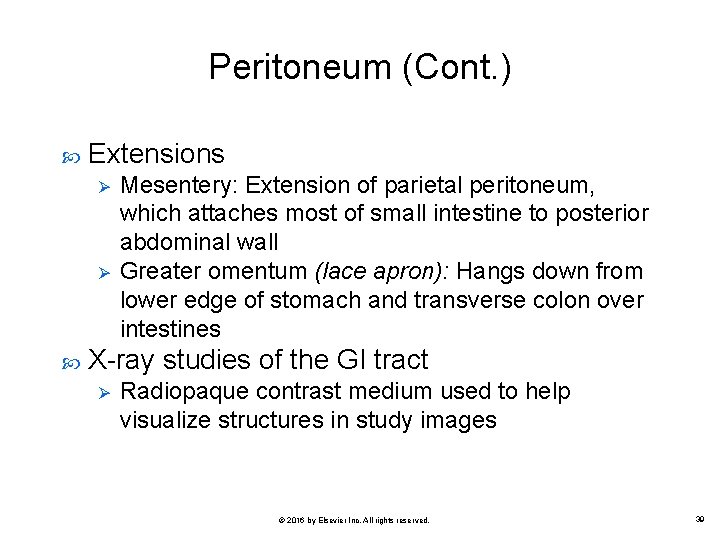 Peritoneum (Cont. ) Extensions Ø Ø Mesentery: Extension of parietal peritoneum, which attaches most