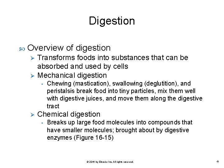 Digestion Overview of digestion Ø Ø Transforms foods into substances that can be absorbed