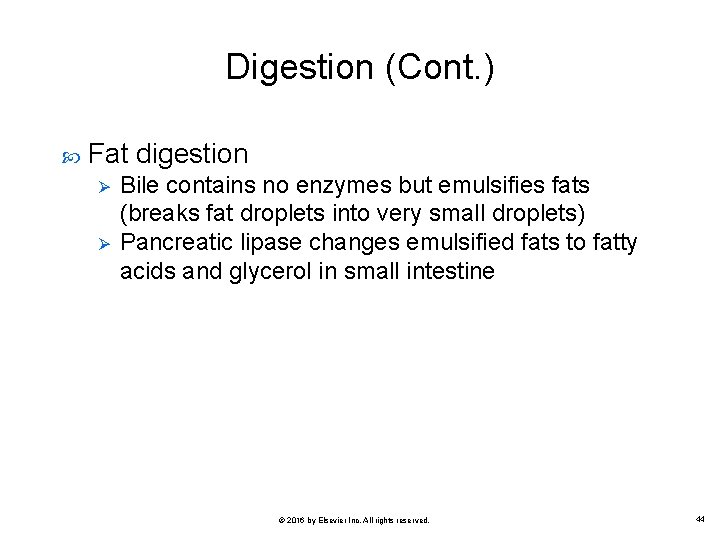 Digestion (Cont. ) Fat digestion Ø Ø Bile contains no enzymes but emulsifies fats