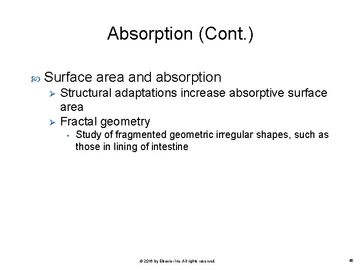 Absorption (Cont. ) Surface area and absorption Ø Ø Structural adaptations increase absorptive surface
