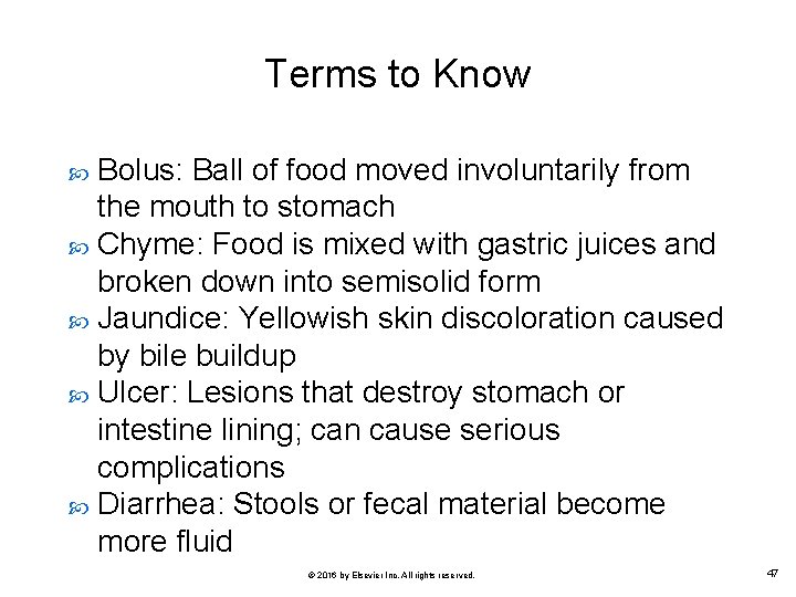 Terms to Know Bolus: Ball of food moved involuntarily from the mouth to stomach