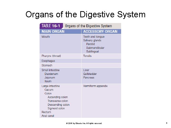 Organs of the Digestive System © 2016 by Elsevier Inc. All rights reserved. 6
