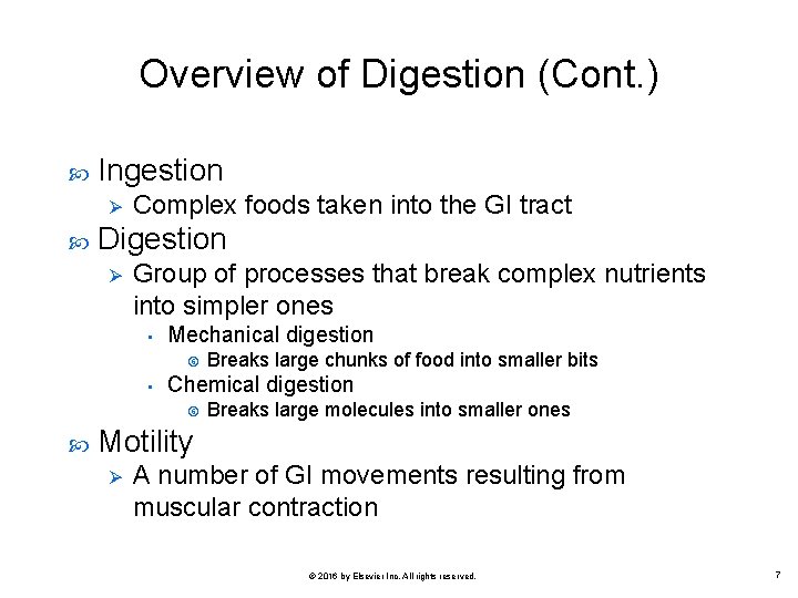 Overview of Digestion (Cont. ) Ingestion Ø Complex foods taken into the GI tract