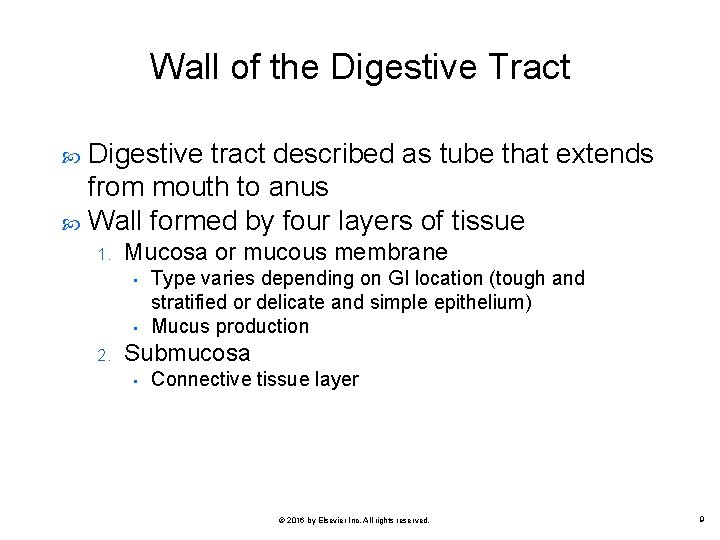 Wall of the Digestive Tract Digestive tract described as tube that extends from mouth