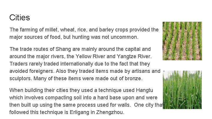 Cities The farming of millet, wheat, rice, and barley crops provided the major sources