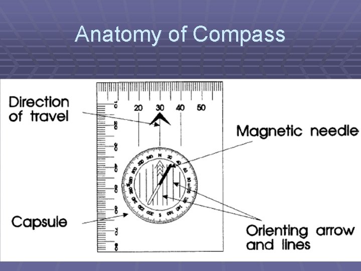 Anatomy of Compass 