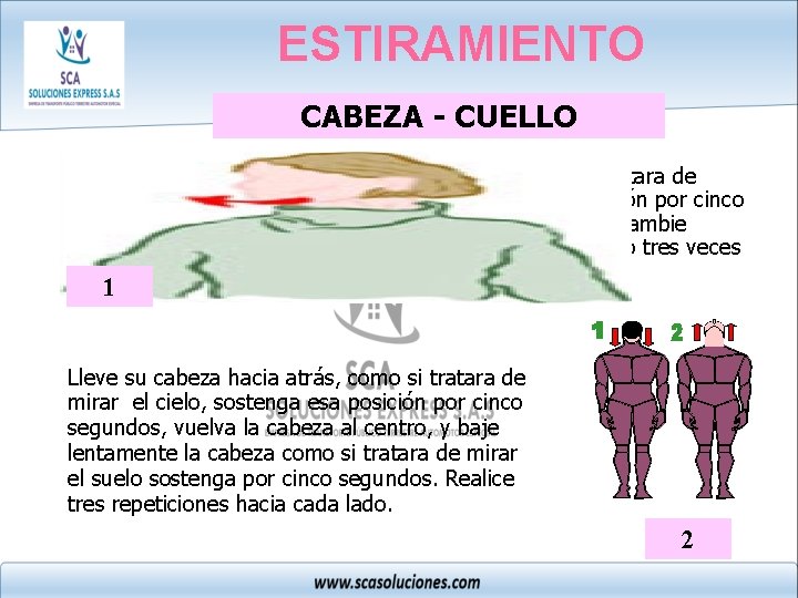 ESTIRAMIENTO CABEZA - CUELLO 1 Gire su cabeza a la derecha -como si tratara