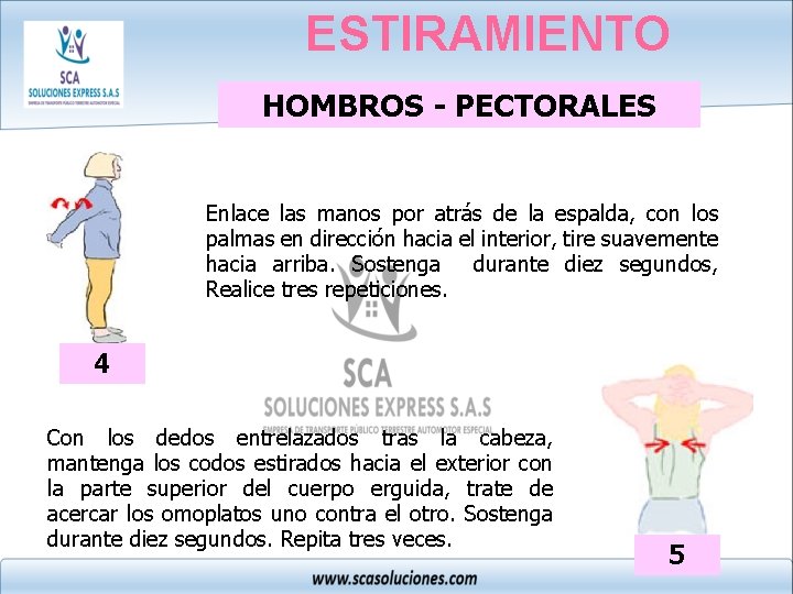ESTIRAMIENTO HOMBROS - PECTORALES Enlace las manos por atrás de la espalda, con los