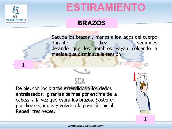 ESTIRAMIENTO BRAZOS Sacuda los brazos y manos a los lados del cuerpo durante diez
