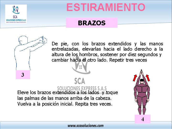ESTIRAMIENTO BRAZOS De pie, con los brazos extendidos y las manos entrelazadas, elevarlas hacia