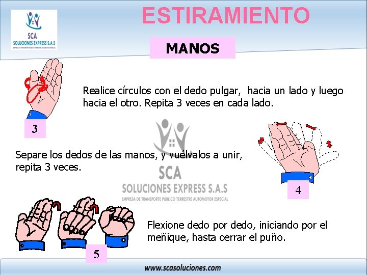 ESTIRAMIENTO MANOS Realice círculos con el dedo pulgar, hacia un lado y luego hacia