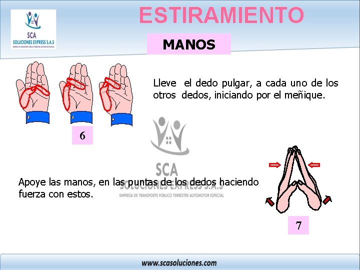 ESTIRAMIENTO MANOS Lleve el dedo pulgar, a cada uno de los otros dedos, iniciando