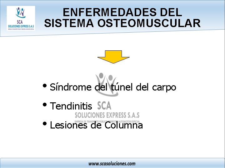 ENFERMEDADES DEL SISTEMA OSTEOMUSCULAR i. Síndrome del túnel del carpo i. Tendinitis i. Lesiones