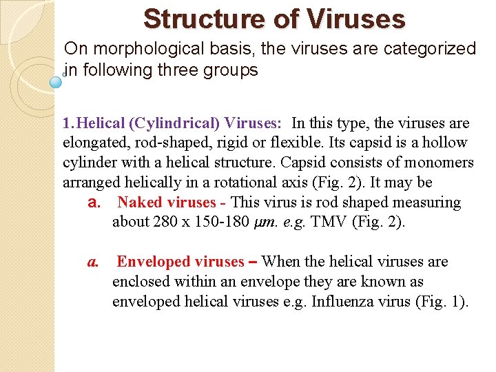 Structure of Viruses On morphological basis, the viruses are categorized in following three groups