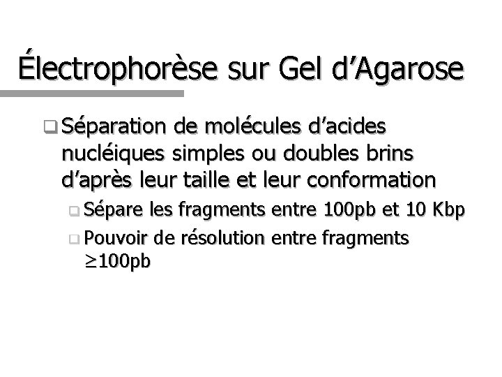 Électrophorèse sur Gel d’Agarose q Séparation de molécules d’acides nucléiques simples ou doubles brins