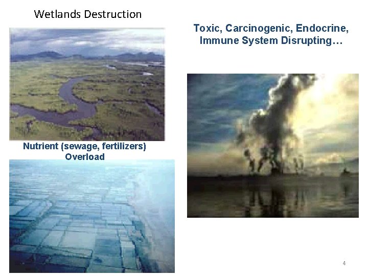 Wetlands Destruction Toxic, Carcinogenic, Endocrine, Immune System Disrupting… Nutrient (sewage, fertilizers) Overload 4 
