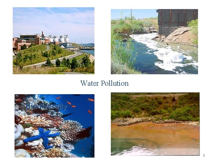 Water Pollution Biodiversity 5 