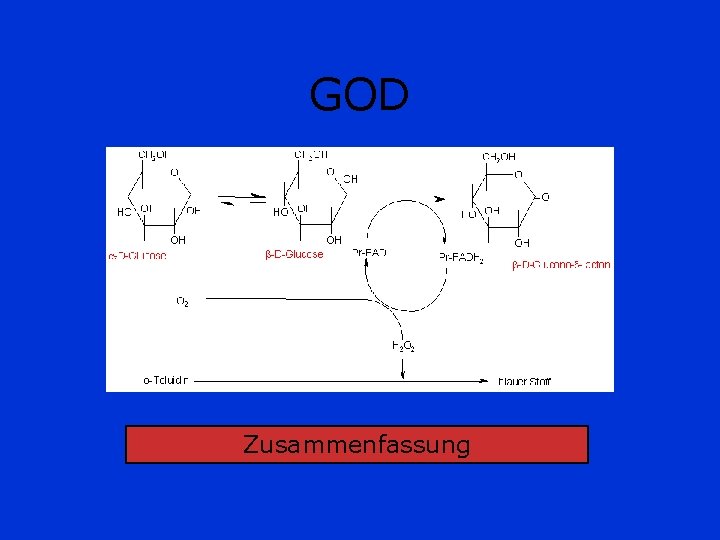 GOD Zusammenfassung 