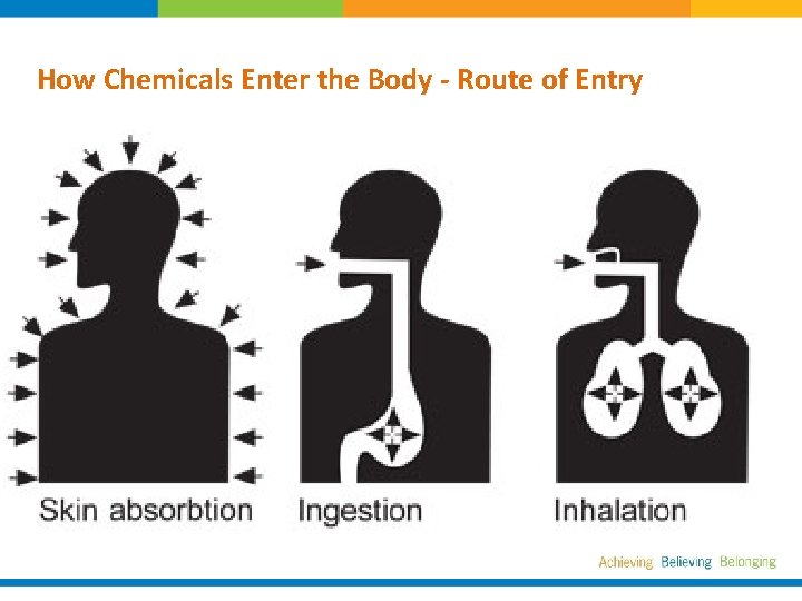 How Chemicals Enter the Body - Route of Entry 