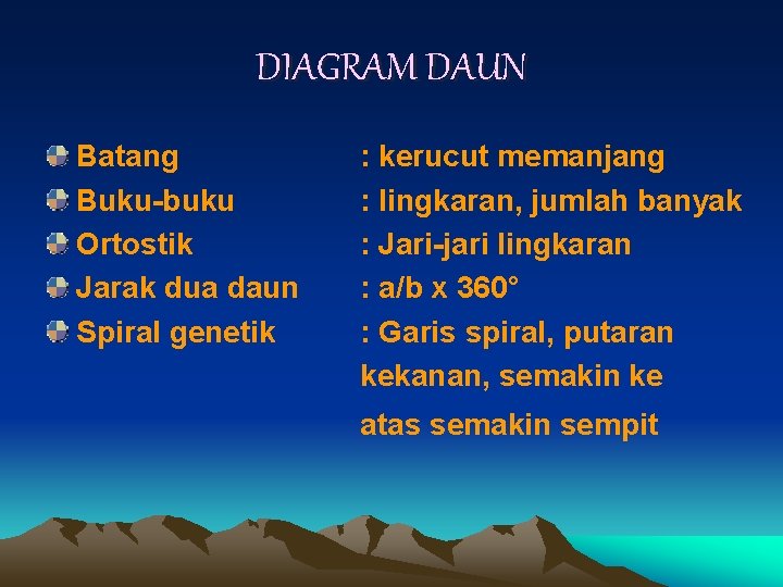 DIAGRAM DAUN Batang Buku-buku Ortostik Jarak dua daun Spiral genetik : kerucut memanjang : DIAGRAM DAUN Batang Buku-buku Ortostik Jarak dua daun Spiral genetik : kerucut memanjang :