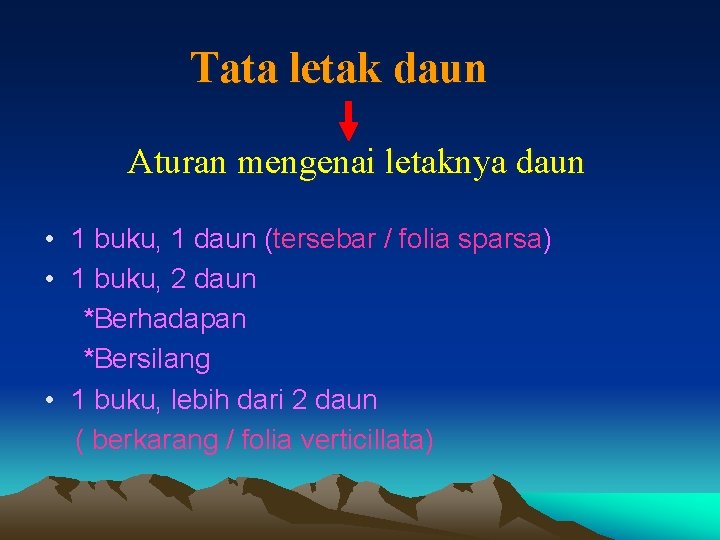 Tata letak daun Aturan mengenai letaknya daun • 1 buku, 1 daun (tersebar / Tata letak daun Aturan mengenai letaknya daun • 1 buku, 1 daun (tersebar /