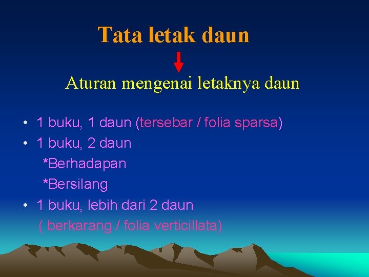 Tata letak daun Aturan mengenai letaknya daun • 1 buku, 1 daun (tersebar /