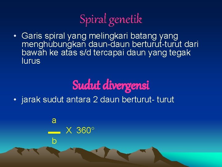 Spiral genetik • Garis spiral yang melingkari batang yang menghubungkan daun-daun berturut-turut dari bawah Spiral genetik • Garis spiral yang melingkari batang yang menghubungkan daun-daun berturut-turut dari bawah