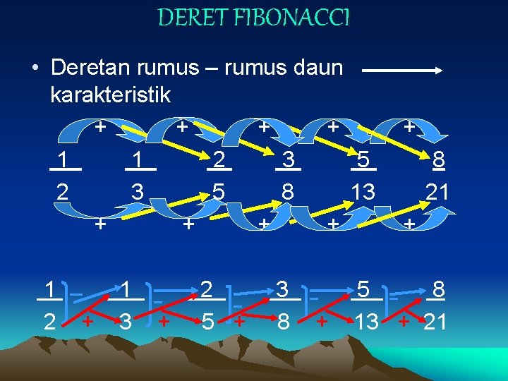 DERET FIBONACCI • Deretan rumus – rumus daun karakteristik + + 1 1 2