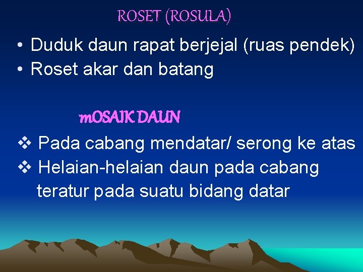 ROSET (ROSULA) • Duduk daun rapat berjejal (ruas pendek) • Roset akar dan batang ROSET (ROSULA) • Duduk daun rapat berjejal (ruas pendek) • Roset akar dan batang