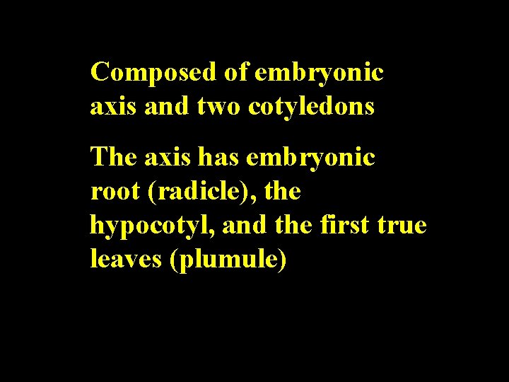 Composed of embryonic axis and two cotyledons The axis has embryonic root (radicle), the