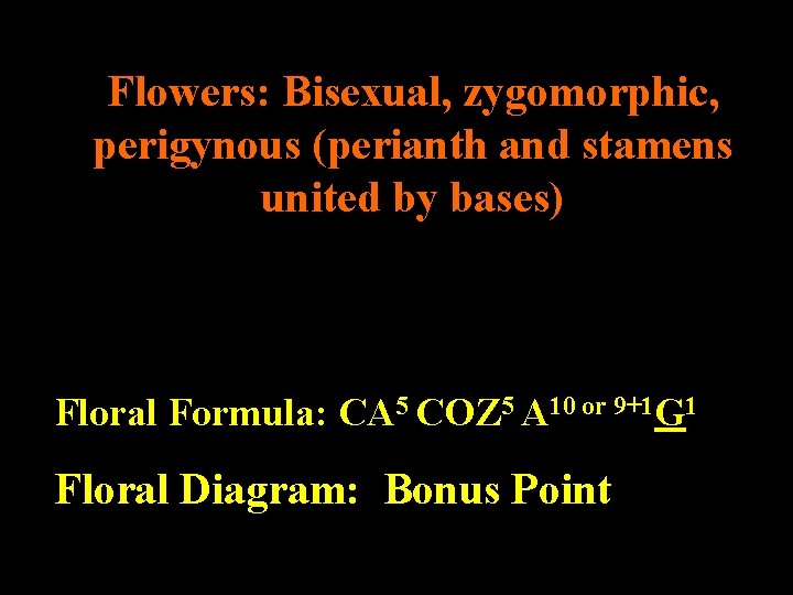 Flowers: Bisexual, zygomorphic, perigynous (perianth and stamens united by bases) Floral Formula: CA 5