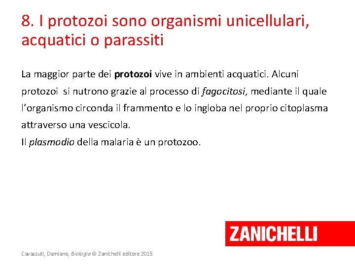 8. I protozoi sono organismi unicellulari, acquatici o parassiti La maggior parte dei protozoi