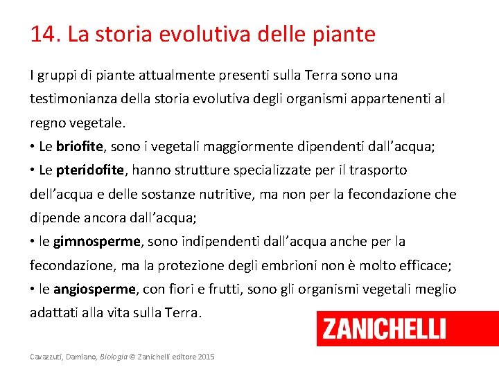 14. La storia evolutiva delle piante I gruppi di piante attualmente presenti sulla Terra