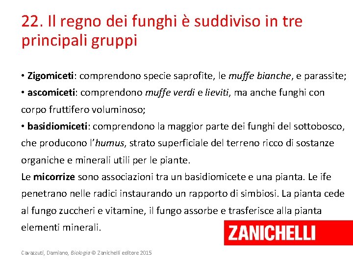 22. Il regno dei funghi è suddiviso in tre principali gruppi • Zigomiceti: comprendono