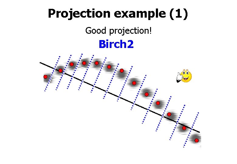 Projection example (1) Good projection! Birch 2 